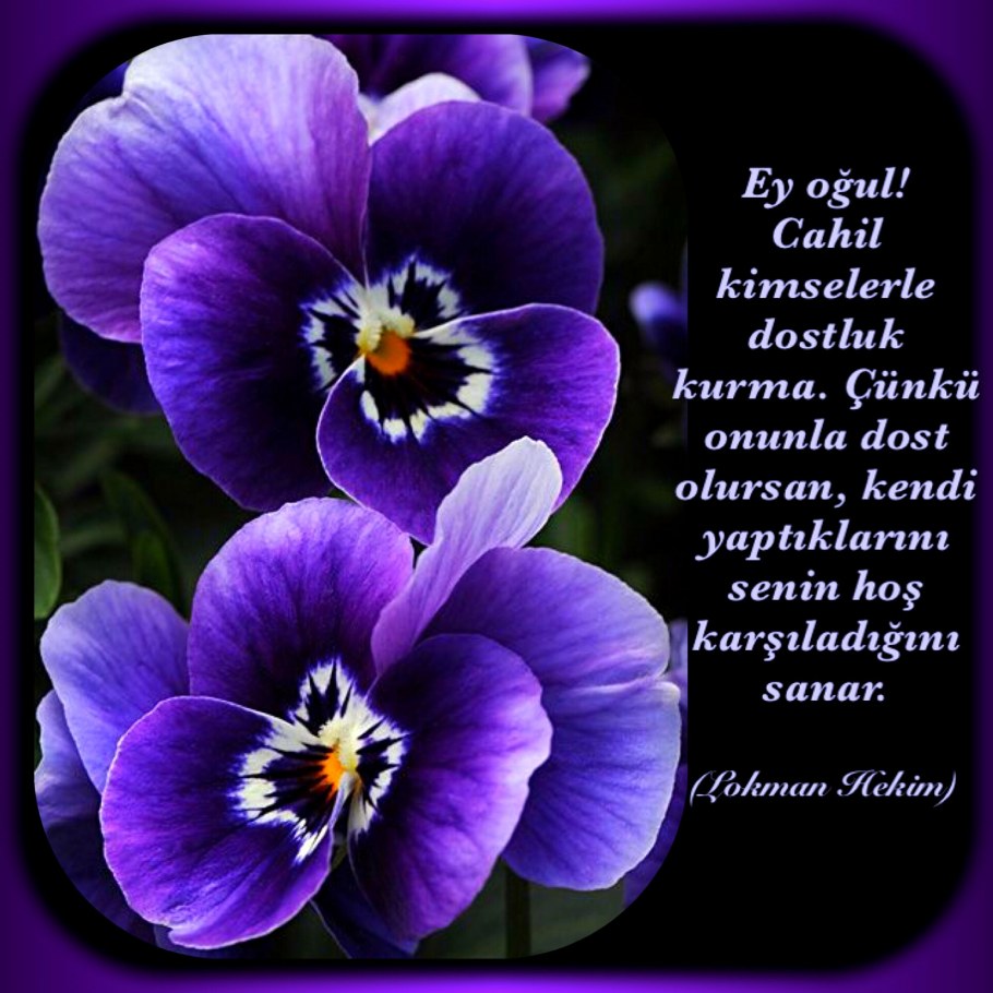 Интерьер в сиреневых тонах