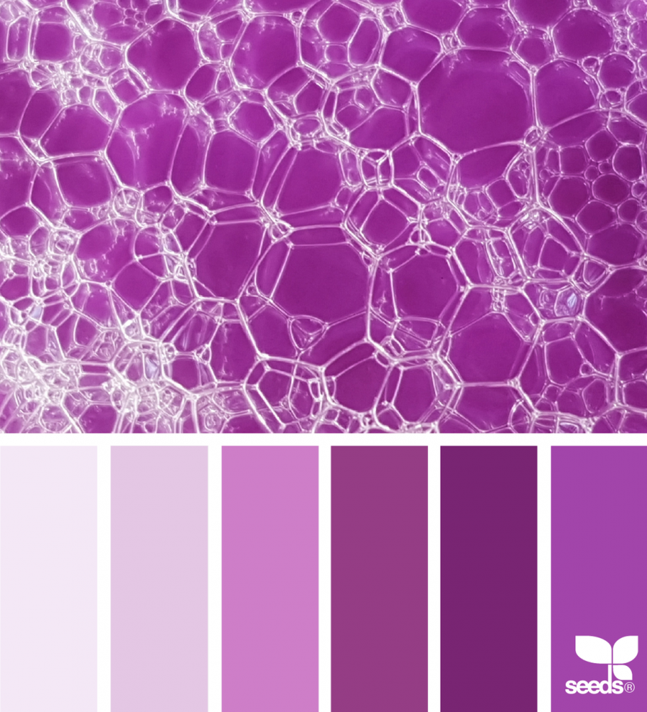 Лавандовый цвет e6e6fa