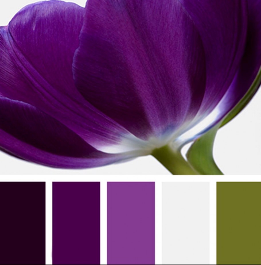 Сочетание сиреневого цвета