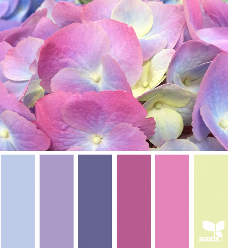 Палитра Лаванда Прованс