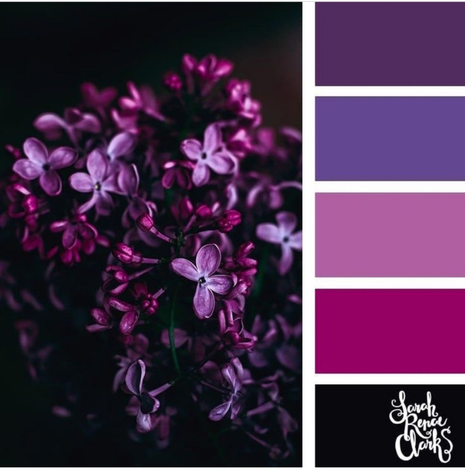 Оттенки одного цвета