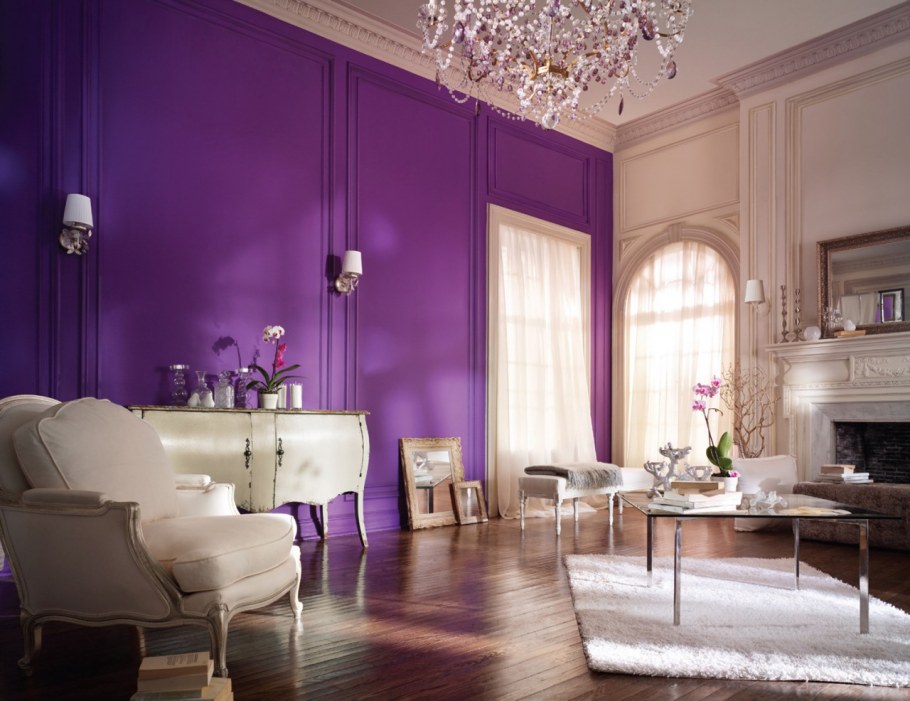 Палитры Сидс фиолетовые