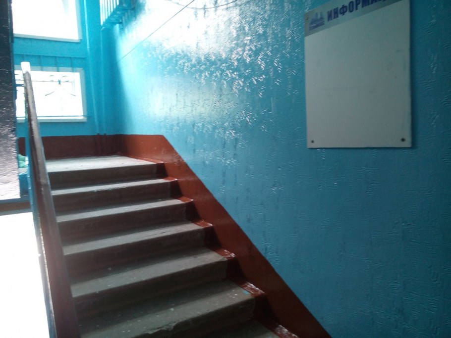 Цвет стен в подъезде зеленый