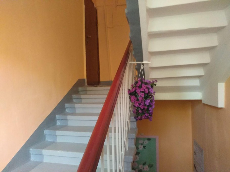 Персиковые стены в подъезде