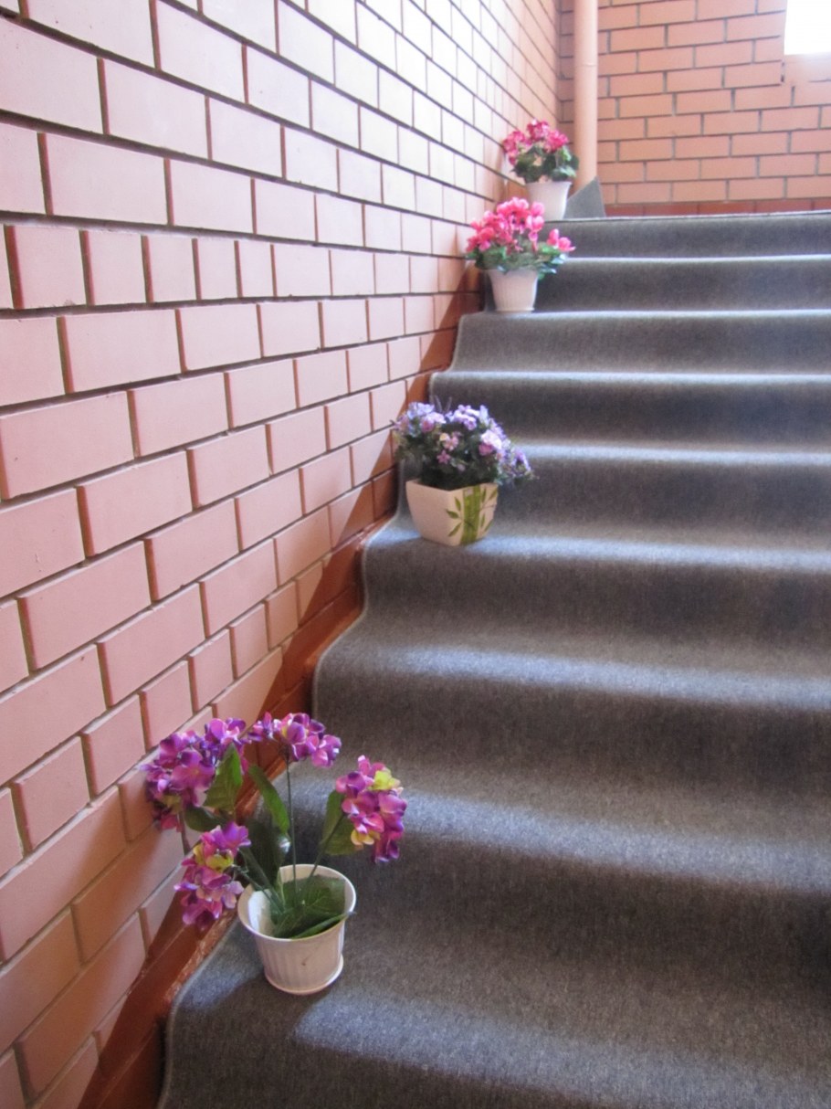 Цвет стен в подъезде