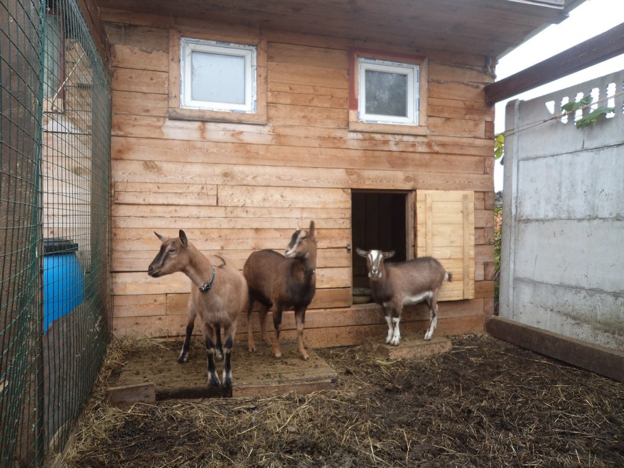 Зима в Подмосковье, здравница