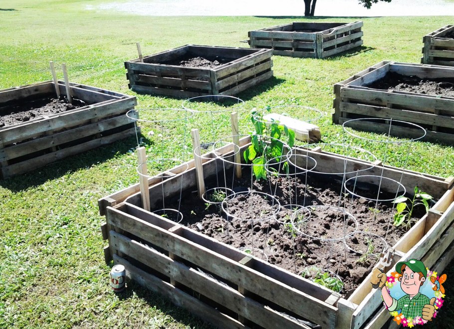 Ограничители для грядок