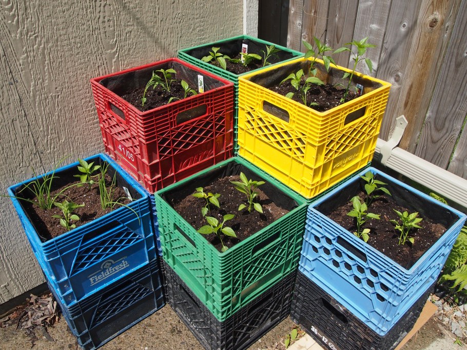 Клумба из пластиковых ящиков