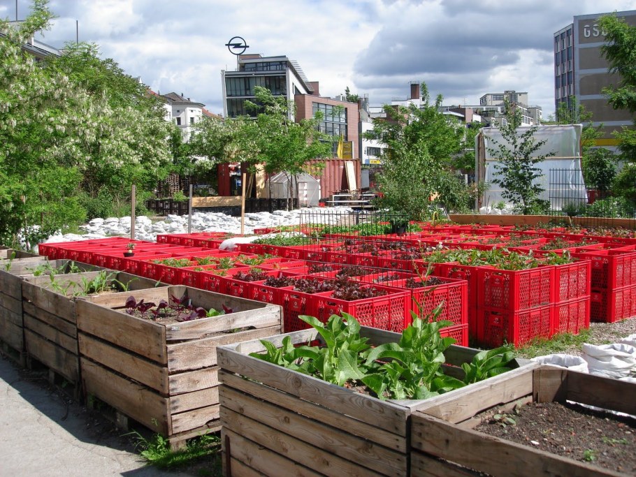 Грядки из пластмассовых ящиков