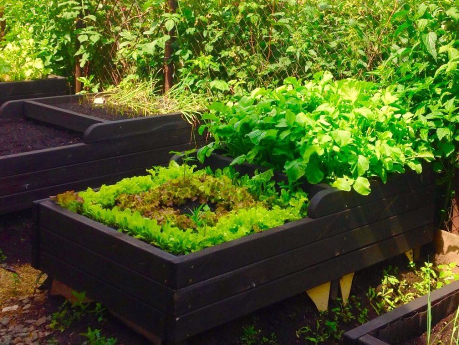 Высокие грядки из поддонов