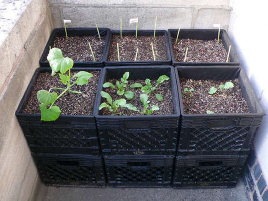 Оригинальные грядки