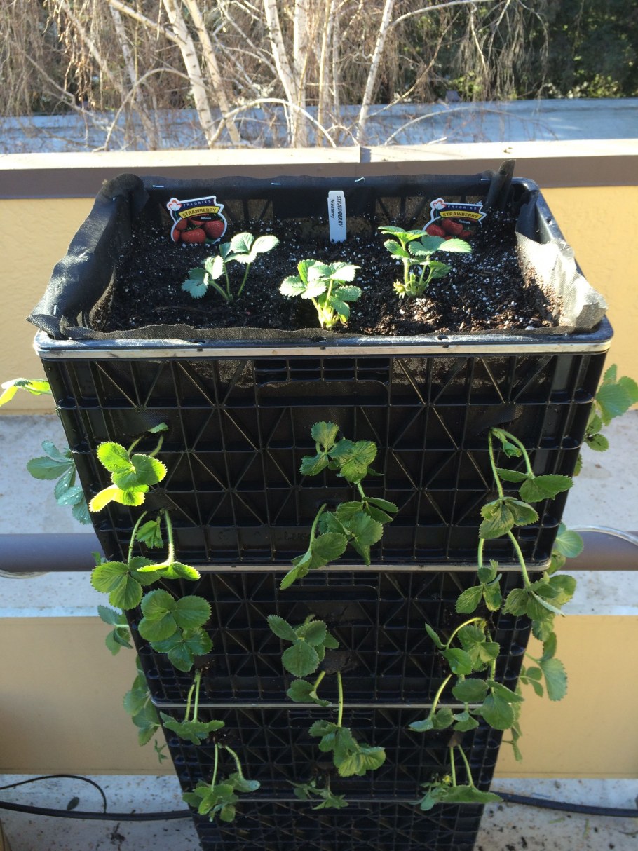 Аскор садовое ограждение заборчик