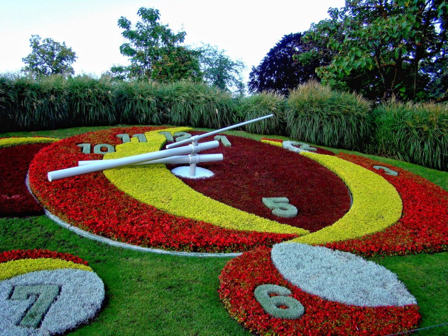 Клумба в виде солнца