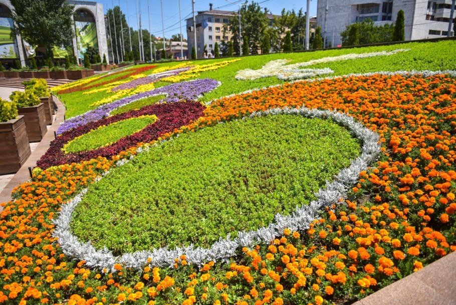 Клумба будущего