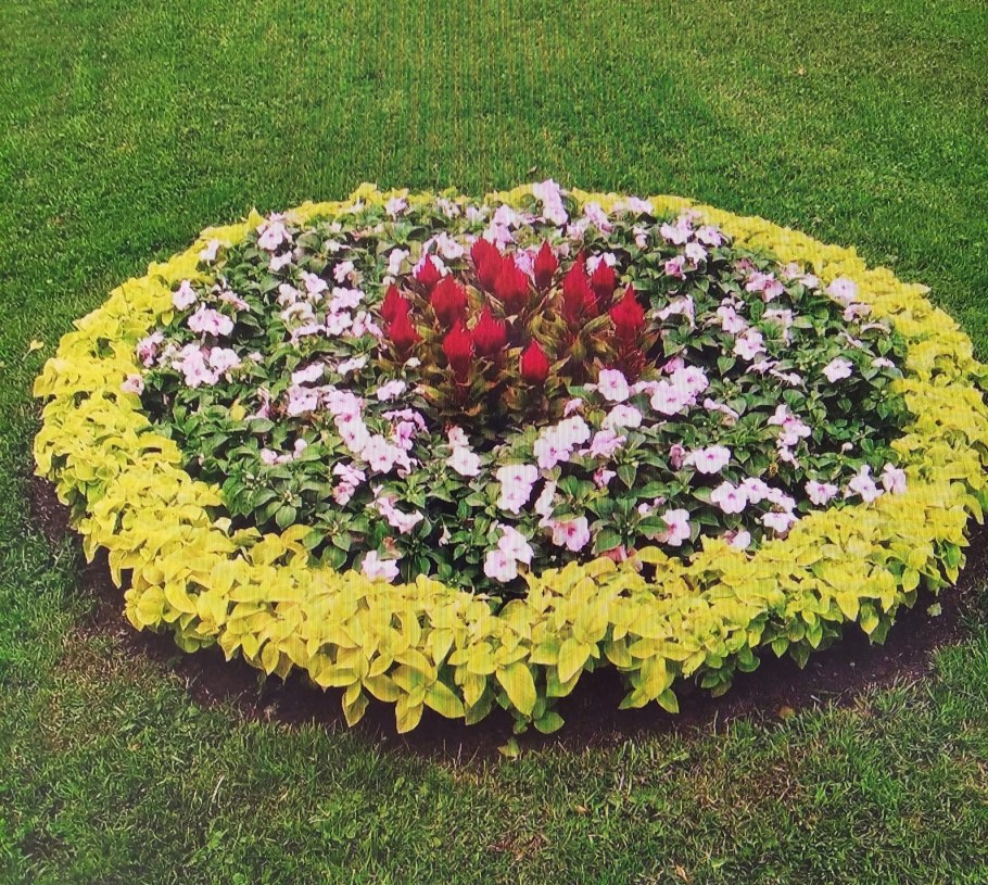 Декорирование клумб щепой