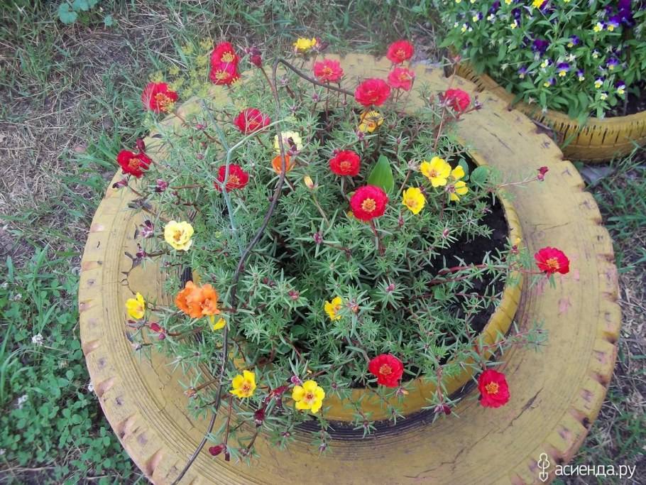 Клумбы для цветов в середине газона