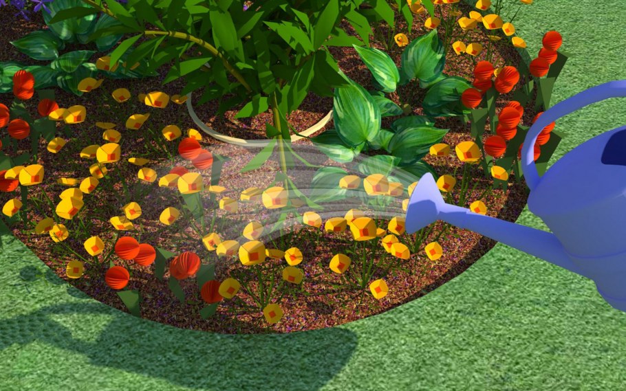 Анютины глазки на клумбе