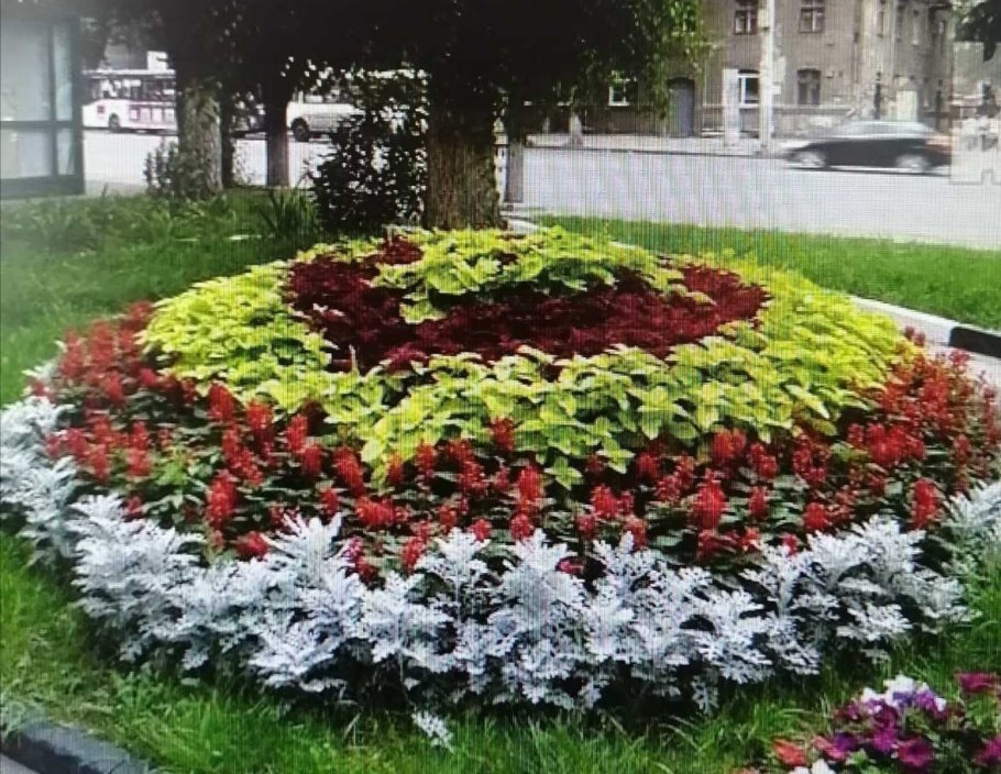 Круговая скамейка