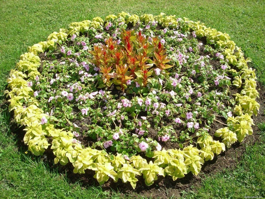 Цветочные часы в Костроме на набережной