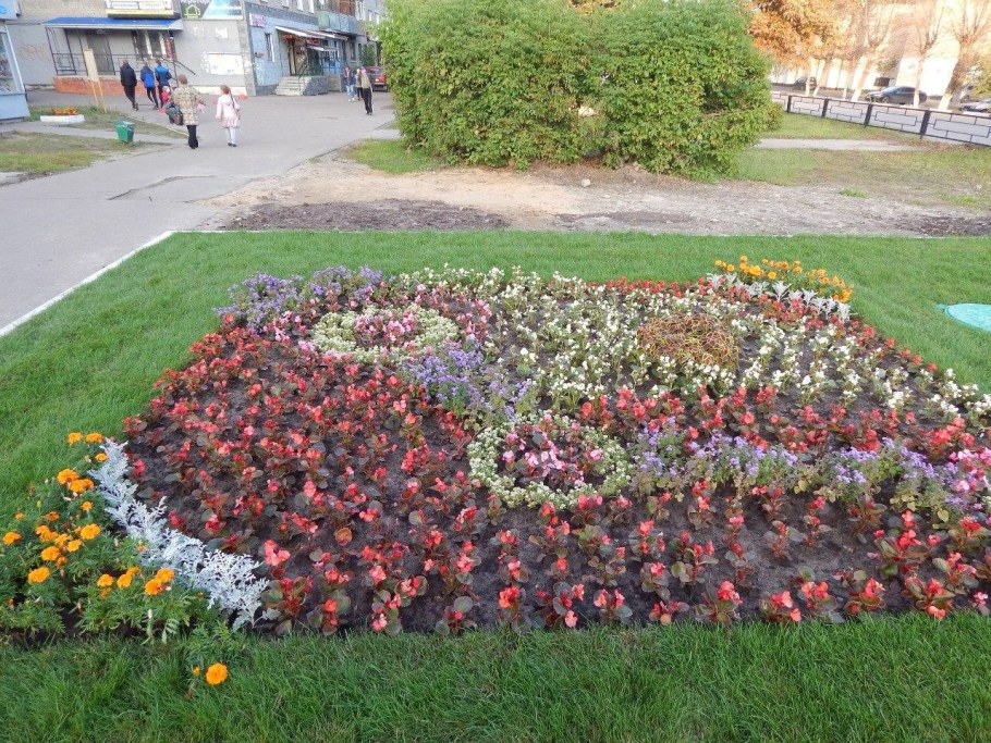 Овальная клумба из однолетников