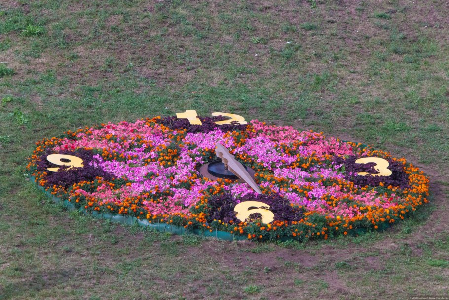 Бархатцы на клумбе