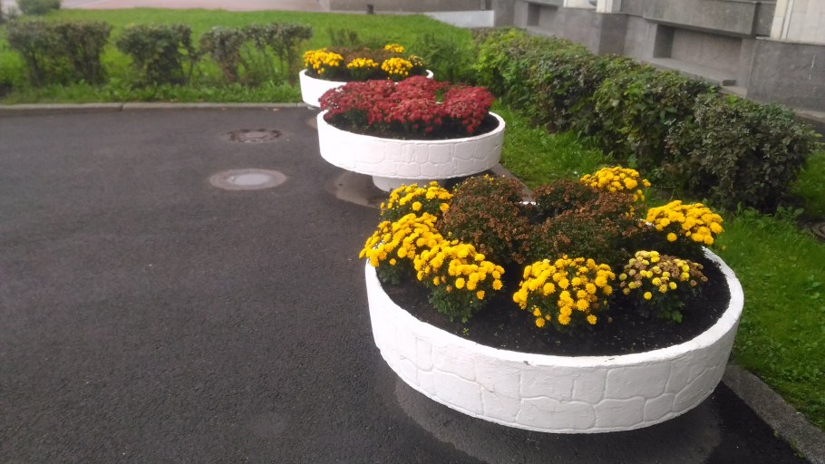 Клумба Линнея