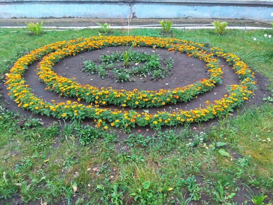 Регулярный цветник из однолетников