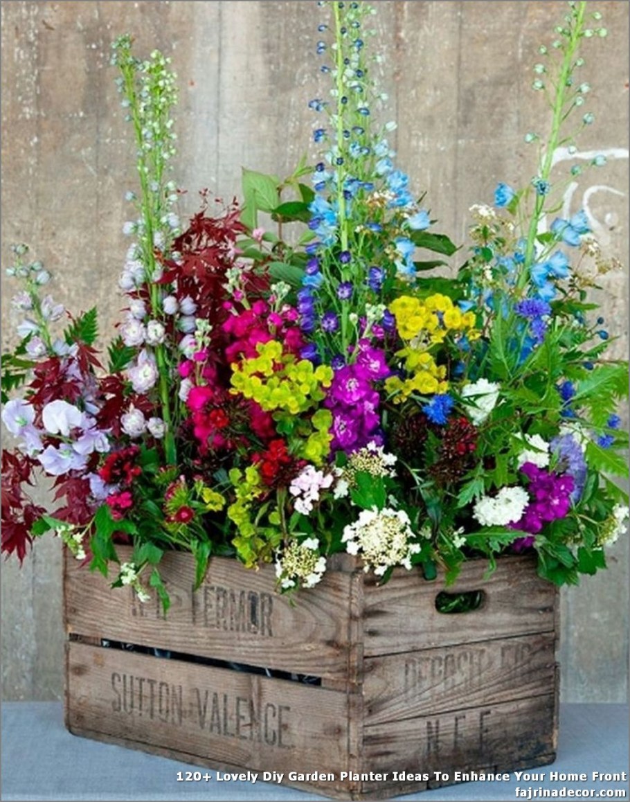 Вербена на клумбе