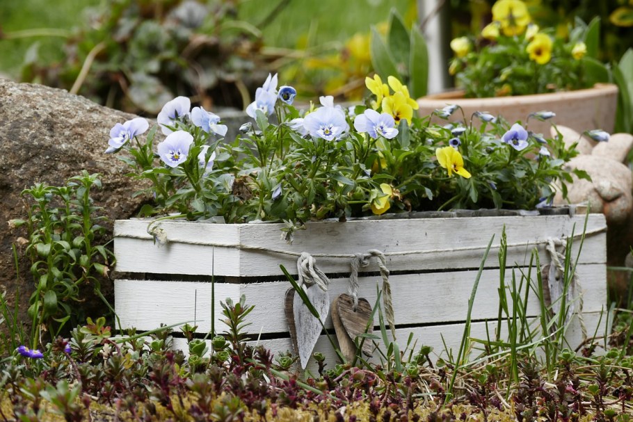 Цветы в деревянных ящиках на даче