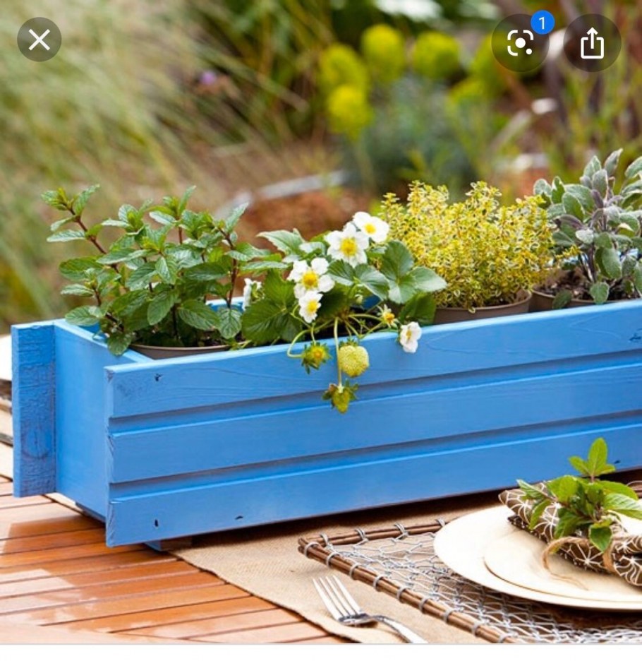 Ящик для растений