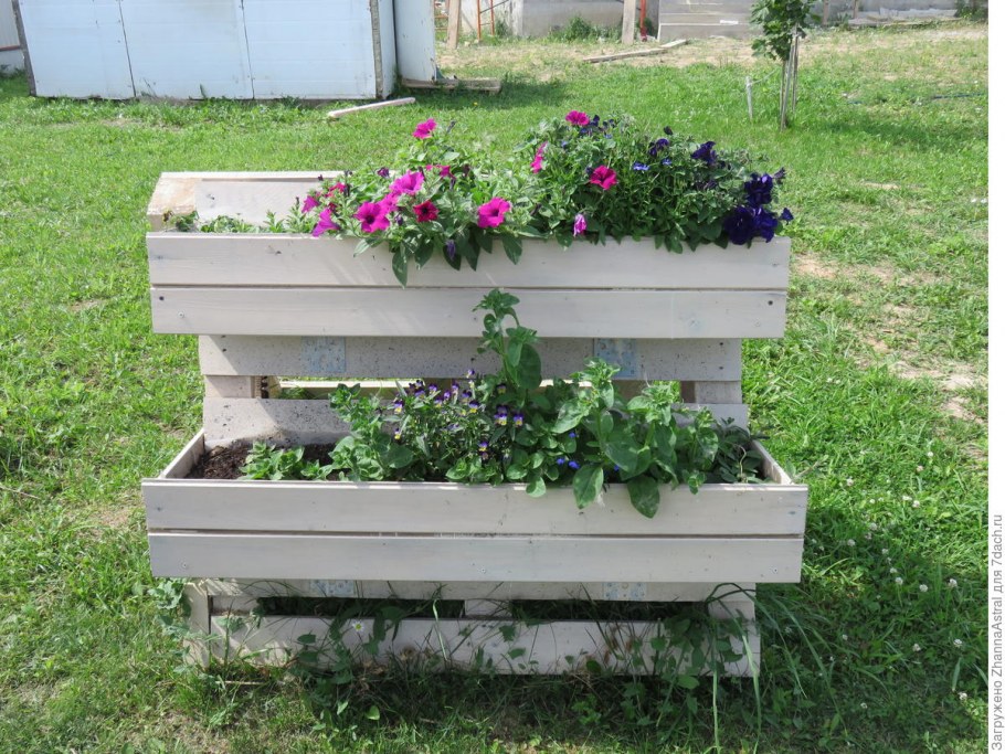 Декоративные клумбы для цветов