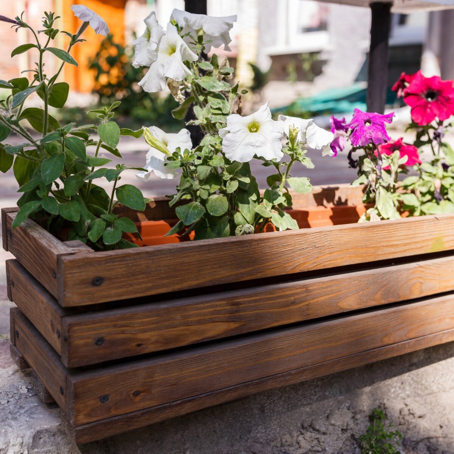 Клумба для цветов