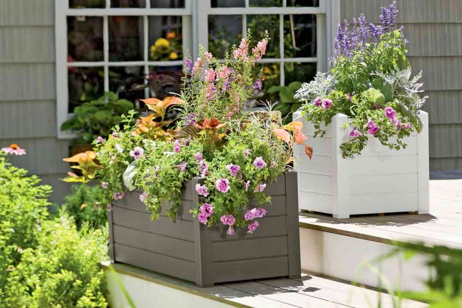 Оригинальные клумбы для цветов