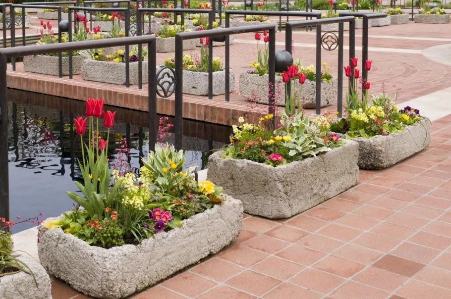 Клумба в горшке