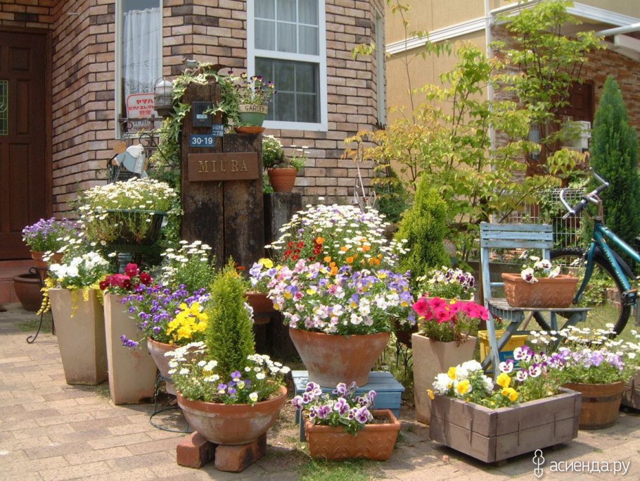 Евровазон Барбара