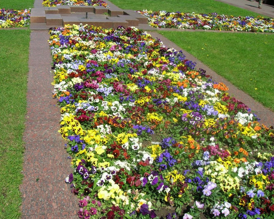 Деревянные вазоны для цветов