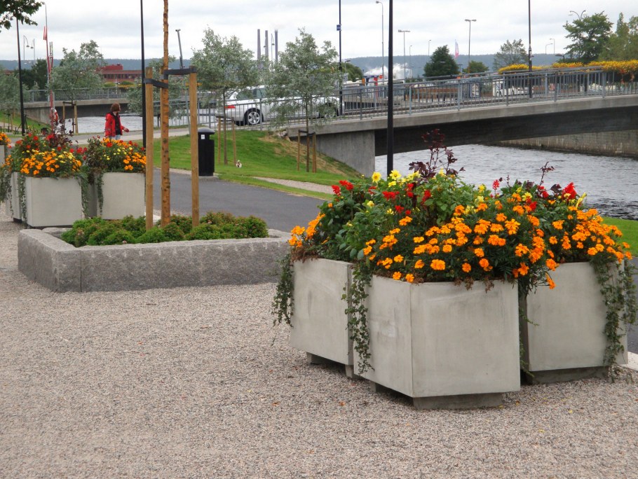 Контейнерное Озеленение патио