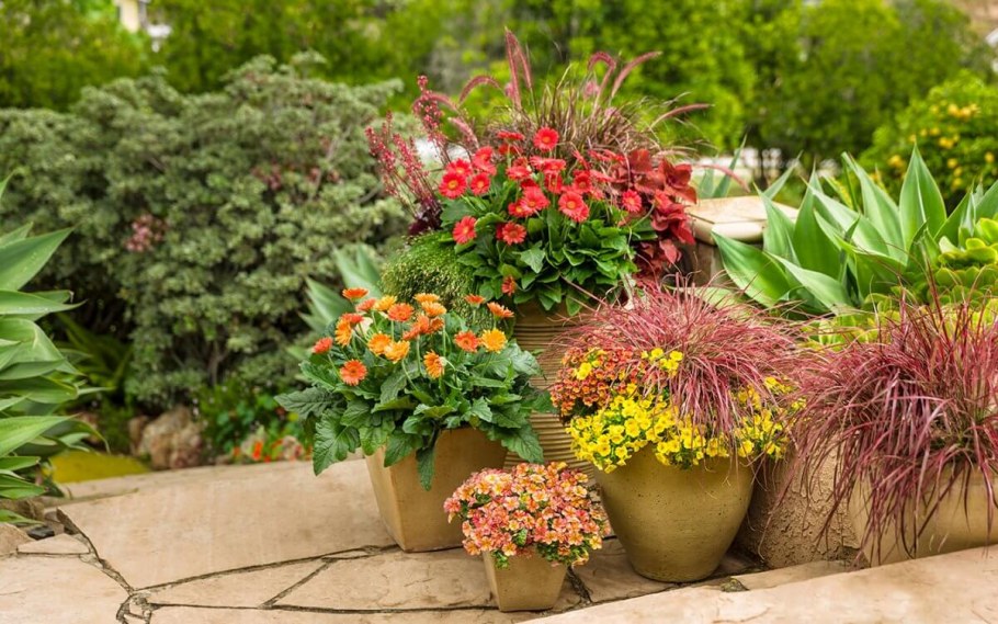 Цветник многоярусный Каскад