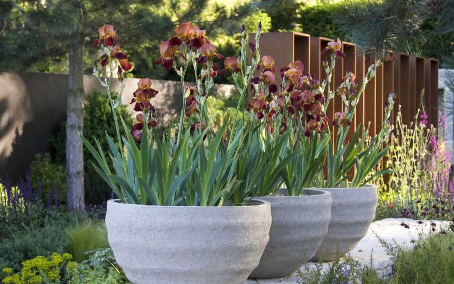 Бетонные клумбы