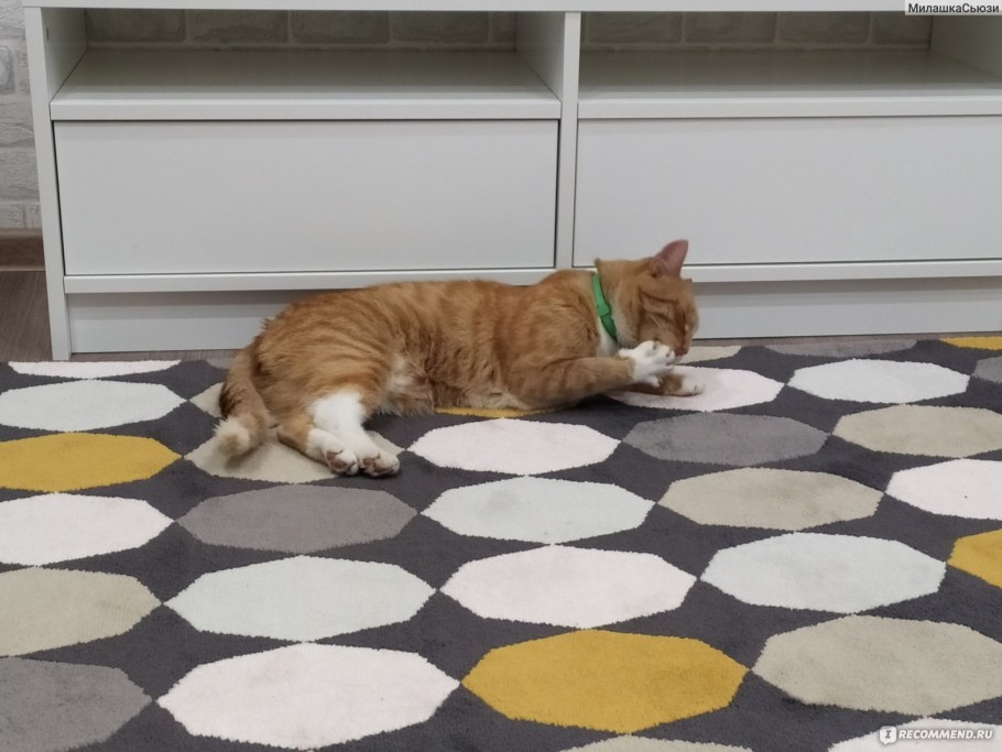 Торрилд икеа