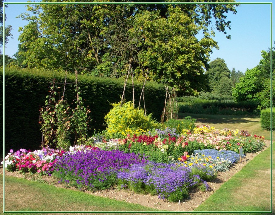 Рабатки миксбордеры