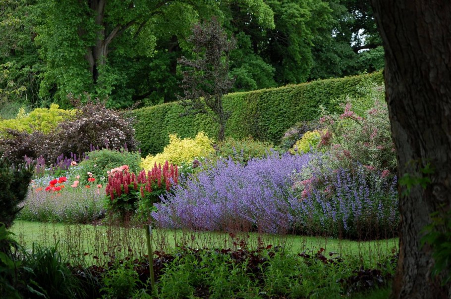 Сады Англии миксбордеры
