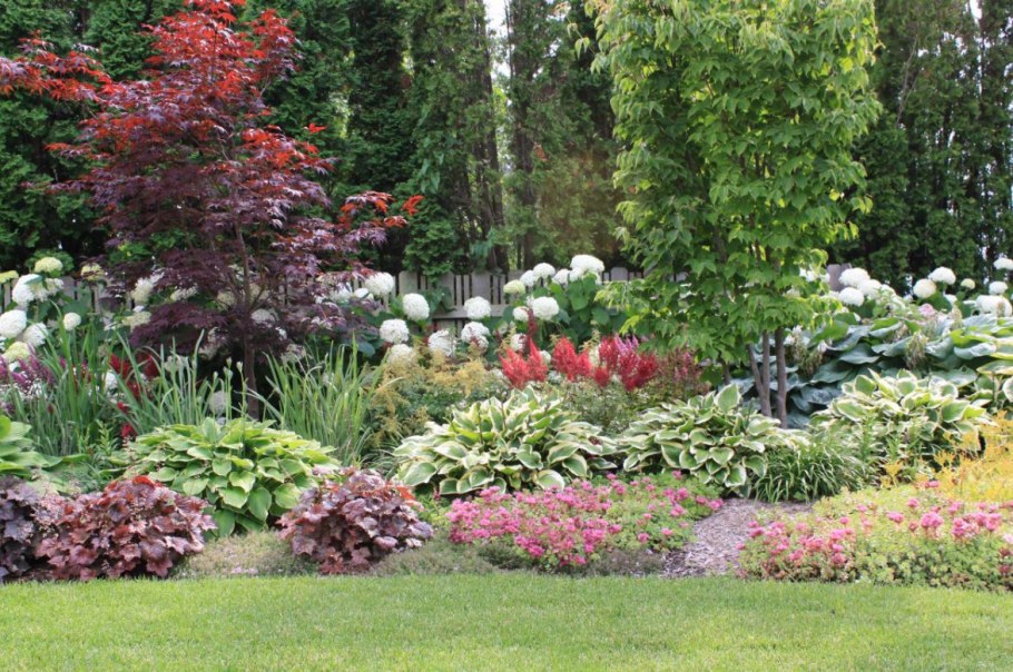 Миксбордер хвойники пионы розы