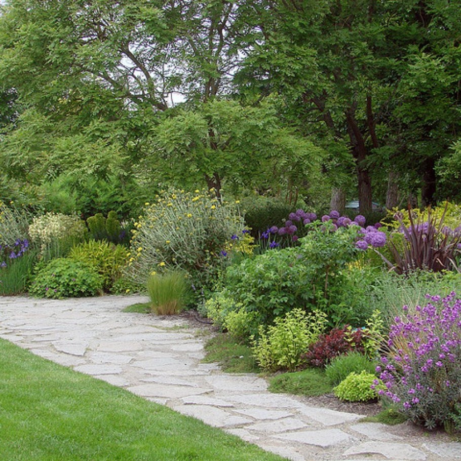 Смешанные бордюры(миксбордеры)