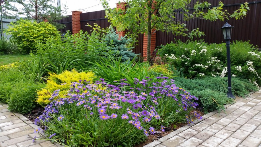 Тенистый миксбордер