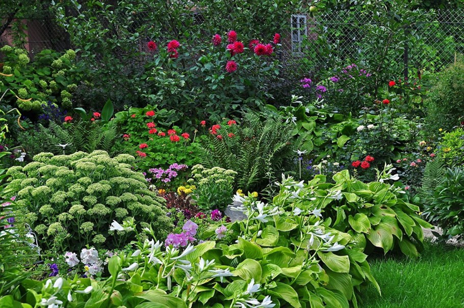 Овощной миксбордер