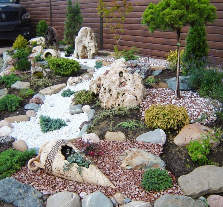 Туя Даника на альпийской Горке