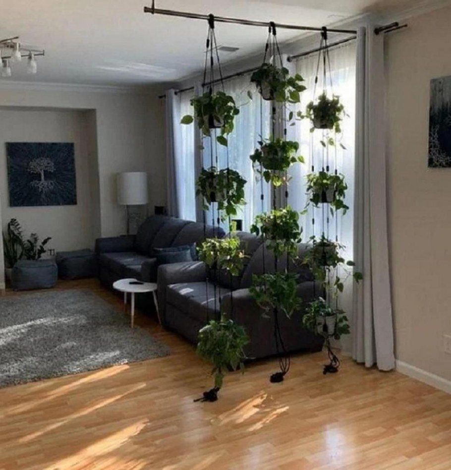 Перегородка с растениями