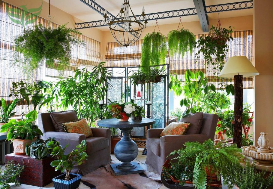 Подоконник с цветами