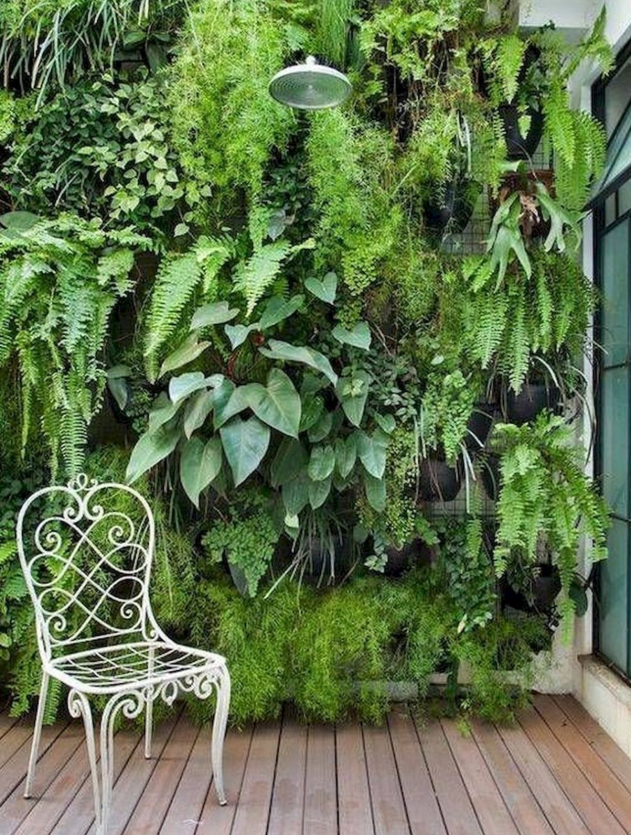 Лиана Грин вертикальное Озеленение